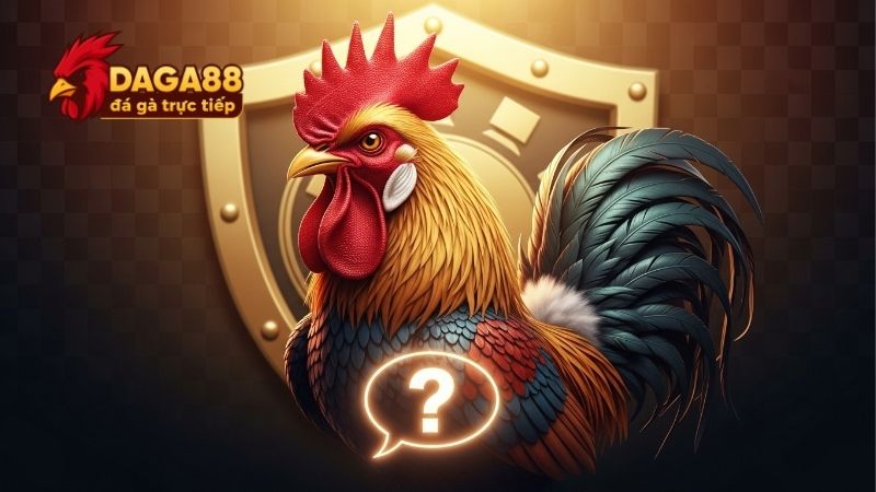 Câu Hỏi Thường Gặp Dag88, Giải Đáp Nhanh Thắc Mắc Người Dùng